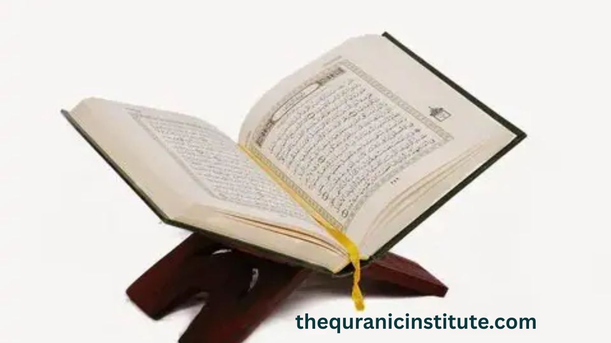 Open Quran ready for reading and Tajweed practice